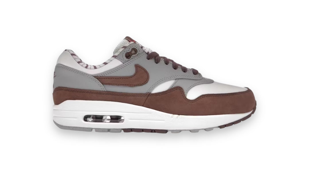 Nike Air Max 1 "Shima Shima"